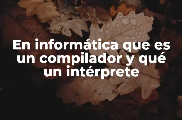 En Informática que es un Compilador y Qué un Intérprete 2 La diferencia entre traducción directa y ejecución inmediata