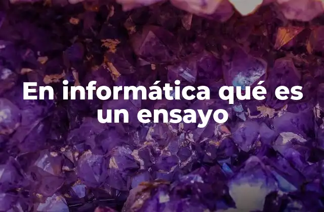 En Informática Qué es un Ensayo