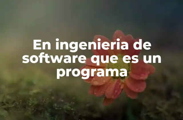 En Ingenieria de Software que es un Programa