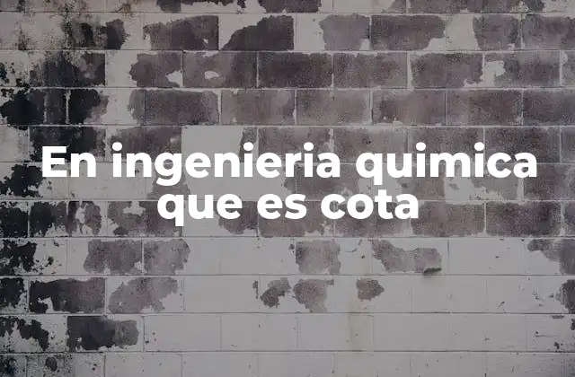 Cotas como herramientas de diseño en ingeniería química