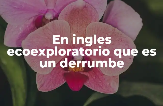En Ingles Ecoexploratorio que es un Derrumbe 2 El impacto de los derrumbes en la exploración sostenible
