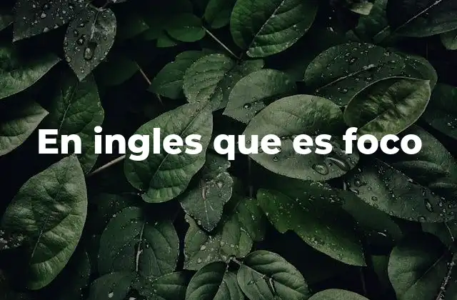 En Ingles que es Foco