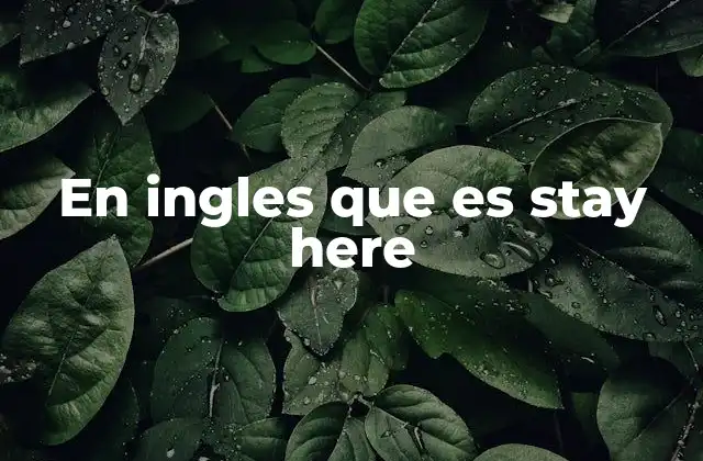 En Ingles que es Stay Here