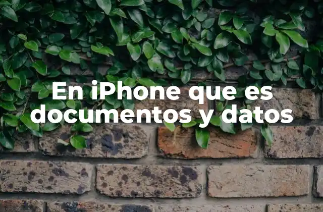 En Iphone que es Documentos y Datos