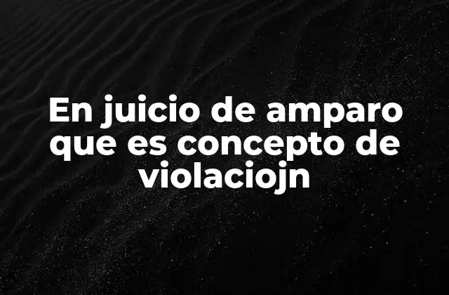 En Juicio de Amparo que es Concepto de Violaciojn