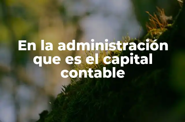 En la Administración que es el Capital Contable