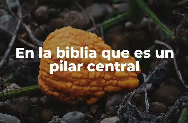 En la Biblia que es un Pilar Central