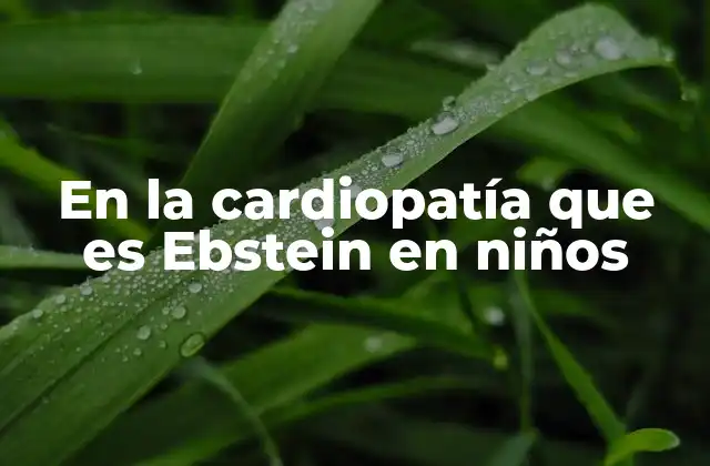 En la Cardiopatía que es Ebstein en Niños 2 Causas y factores de riesgo de la cardiopatía de Ebstein