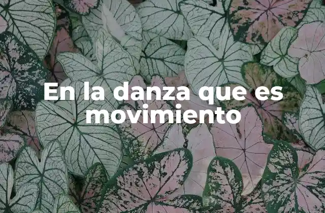 En la Danza que es Movimiento