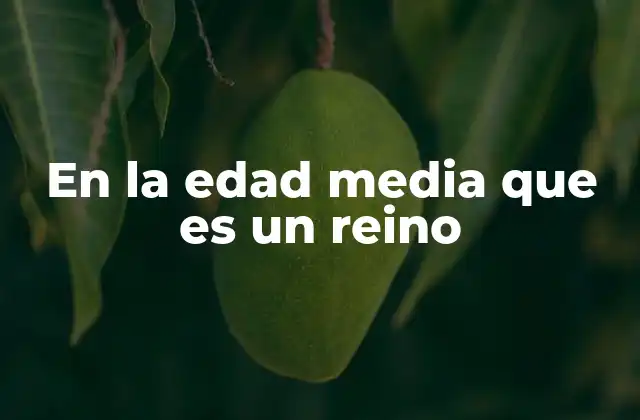 En la Edad Media que es un Reino