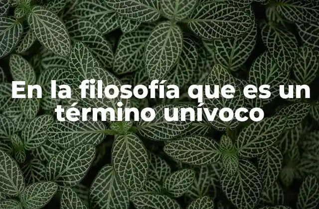 En la Filosofía que es un Término Unívoco