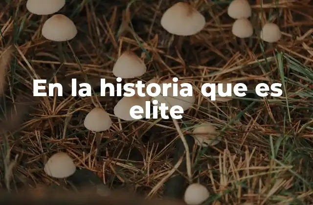En la Historia que es Elite