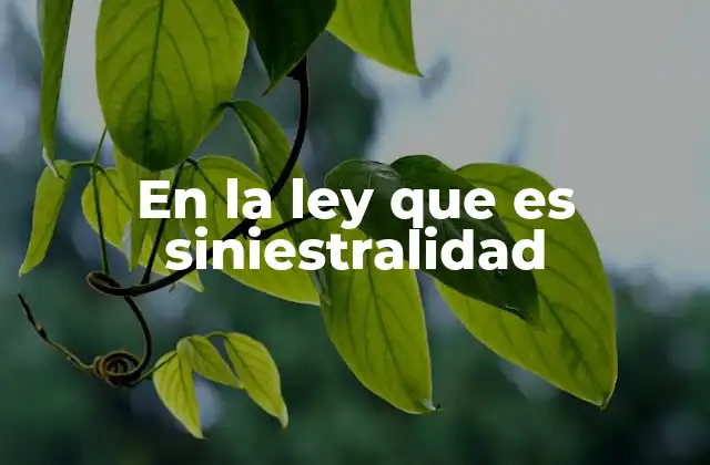 En la Ley que es Siniestralidad