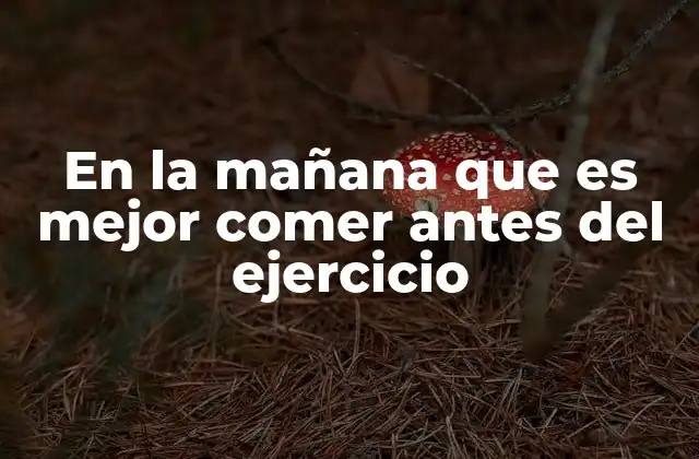 En la Mañana que es Mejor Comer Antes Del Ejercicio