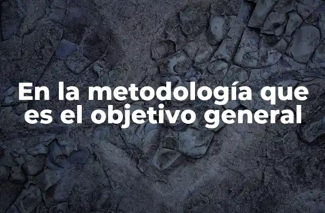 En la Metodología que es el Objetivo General