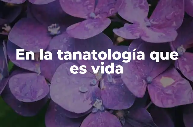 El enfoque tanatológico de la existencia humana