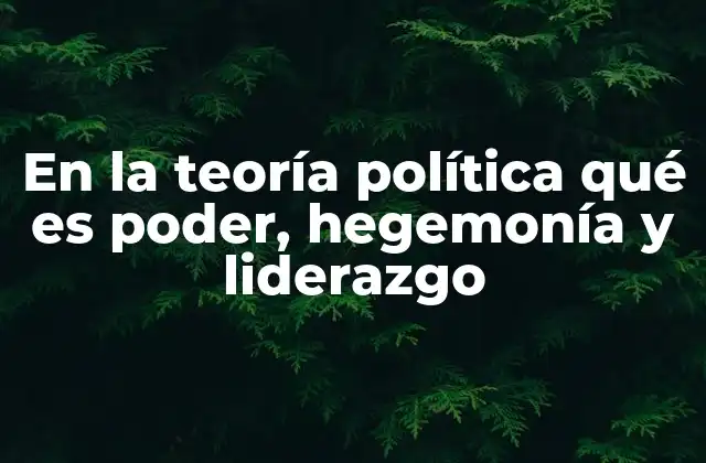 En la Teoría Política Qué es Poder, Hegemonía y Liderazgo