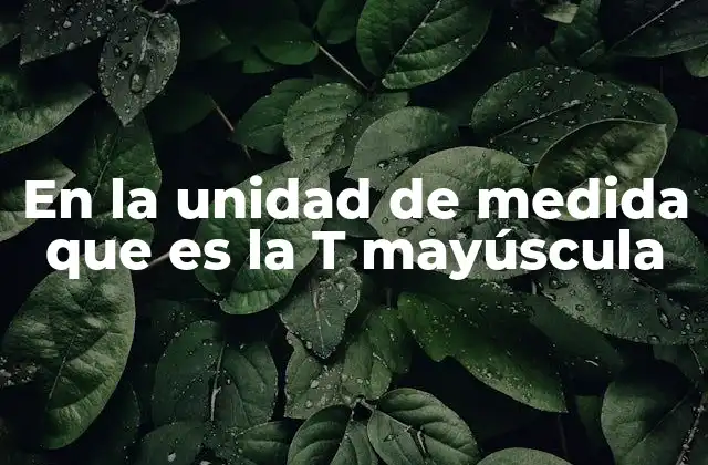 En la Unidad de Medida que es la T Mayúscula