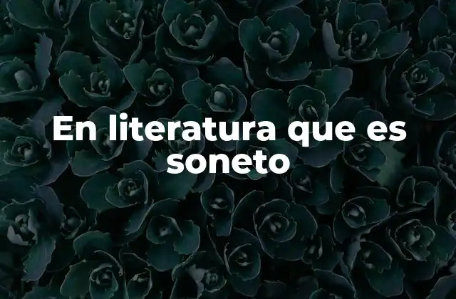 En Literatura que es Soneto 2 El soneto como forma poética universal