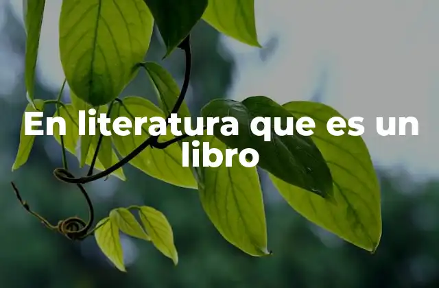 En Literatura que es un Libro