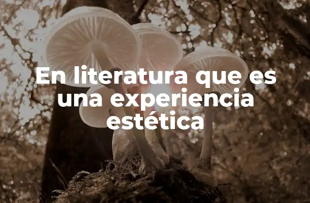 En Literatura que es una Experiencia Estética