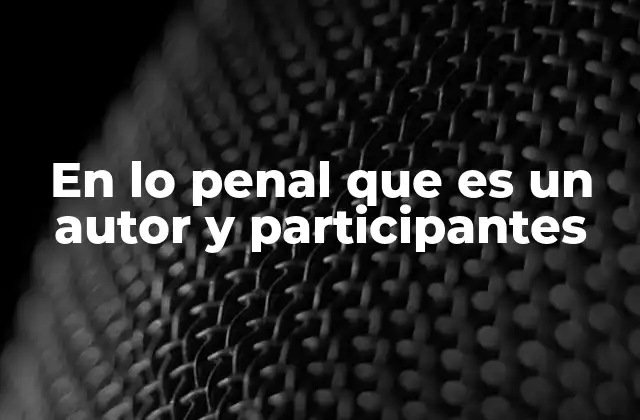 En Lo Penal que es un Autor y Participantes