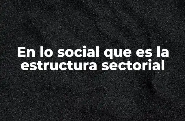 En Lo Social que es la Estructura Sectorial