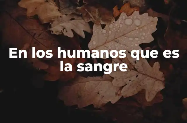 En los Humanos que es la Sangre