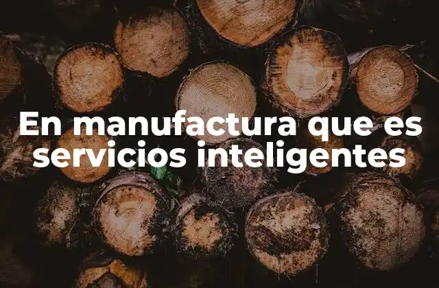 La transformación digital en la producción industrial