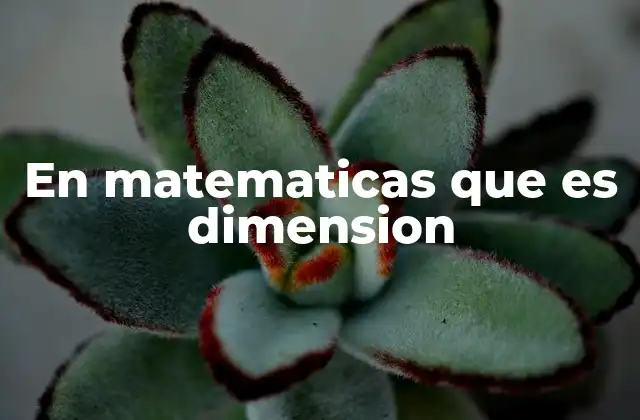 En Matematicas que es Dimension 2 La importancia de la noción de dimensión en diferentes áreas