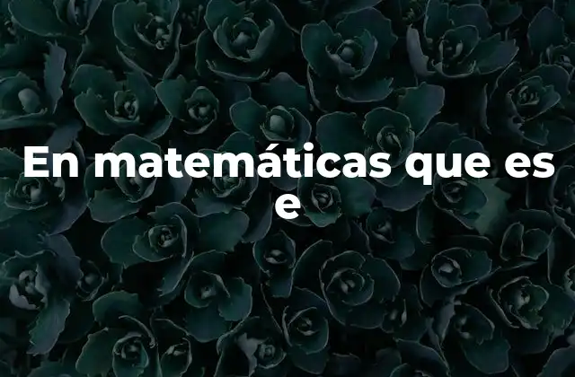 En Matemáticas que es e