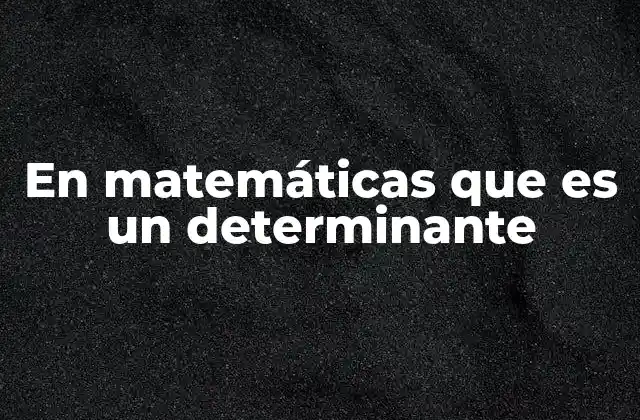 En Matemáticas que es un Determinante