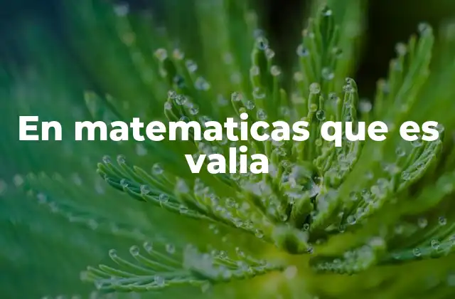 En Matematicas que es Valia