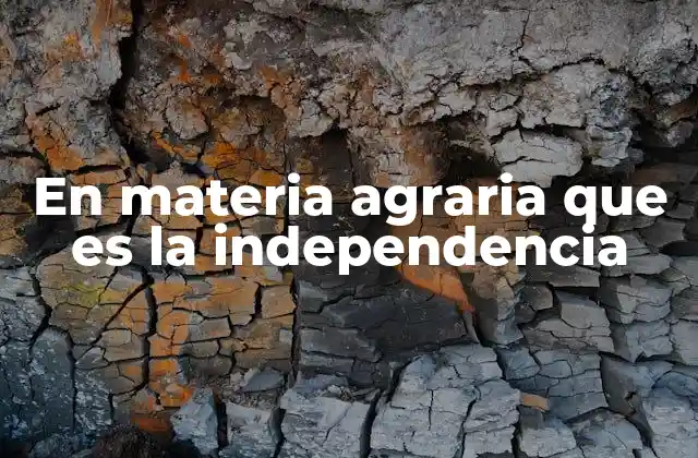 En Materia Agraria que es la Independencia 2 El rol de la autonomía en el desarrollo rural