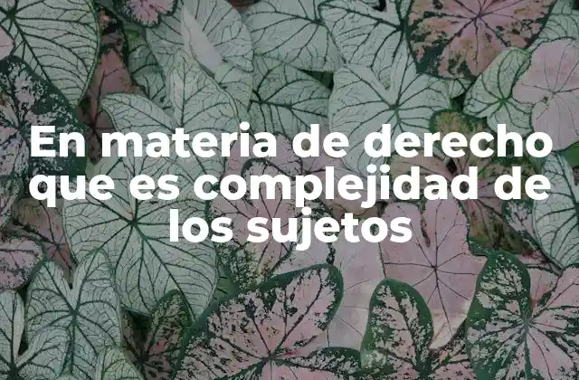 En Materia de Derecho que es Complejidad de los Sujetos