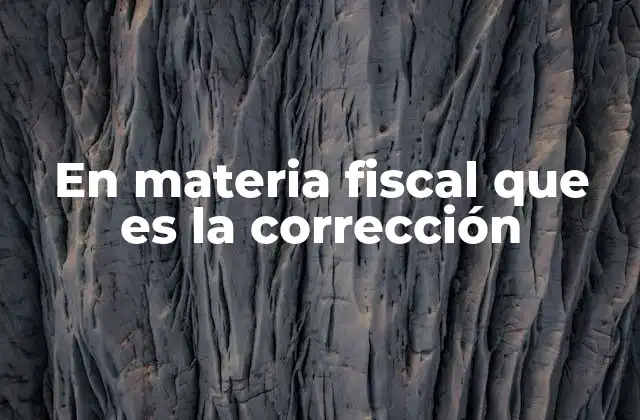 En Materia Fiscal que es la Corrección