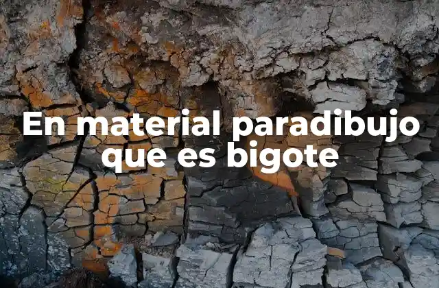 El bigote como herramienta en el proceso creativo