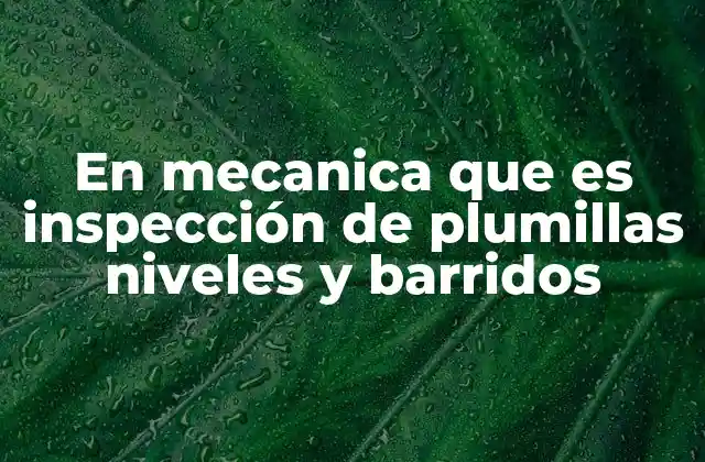 En Mecanica que es Inspección de Plumillas Niveles y Barridos