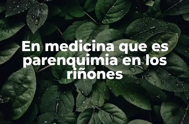En Medicina que es Parenquimia en los Riñones