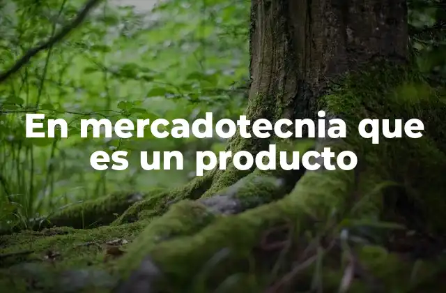 En Mercadotecnia que es un Producto