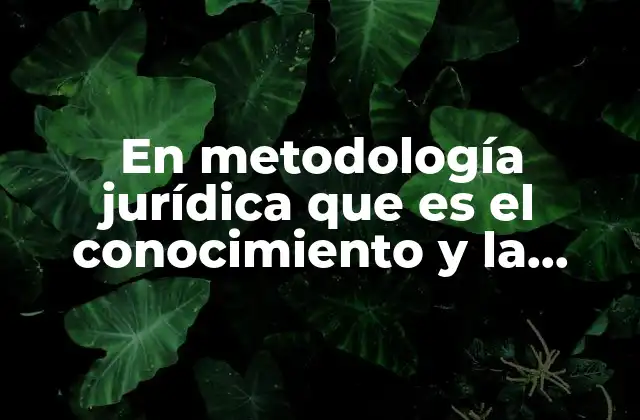 En Metodología Jurídica que es el Conocimiento y la Lógica