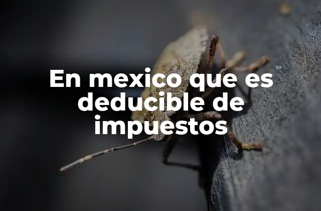 En Mexico que es Deducible de Impuestos