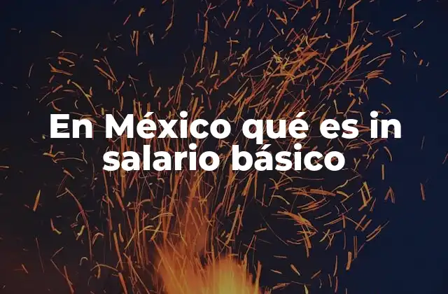 En México Qué es In Salario Básico