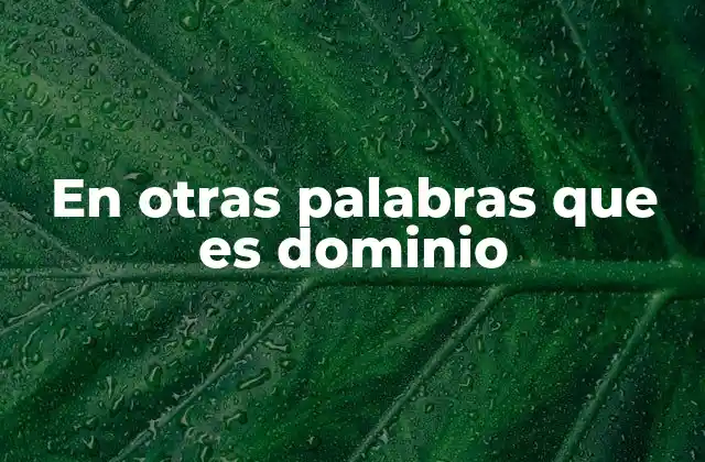 En Otras Palabras que es Dominio