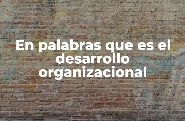 En Palabras que es el Desarrollo Organizacional