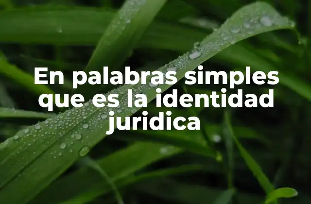 En Palabras Simples que es la Identidad Juridica