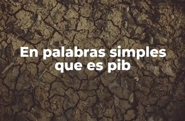 En Palabras Simples que es Pib