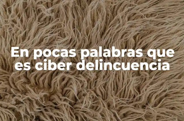 En Pocas Palabras que es Ciber Delincuencia