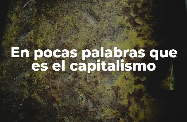 En Pocas Palabras que es el Capitalismo 2 El funcionamiento del sistema económico basado en el mercado