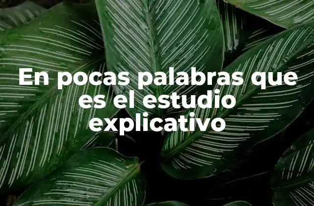 En Pocas Palabras que es el Estudio Explicativo 2 El rol del estudio explicativo en el avance del conocimiento